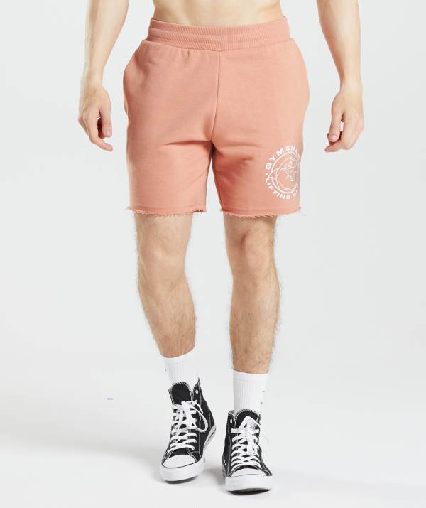 Panske Šortky Gymshark Legacy Ruzove | GA9438152